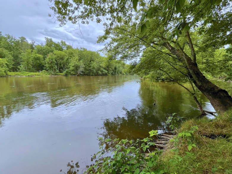 River Junction preserve